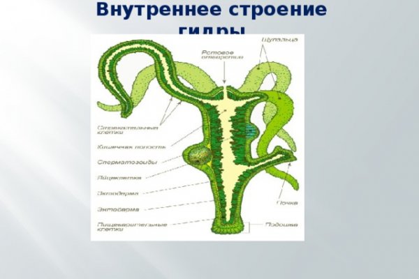 Кракен тор браузер